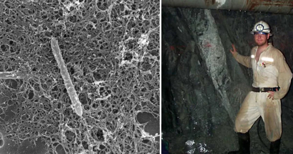 Organismul unic care trăiește singur