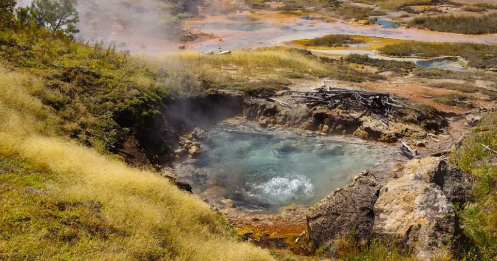 Microbi producători de metan