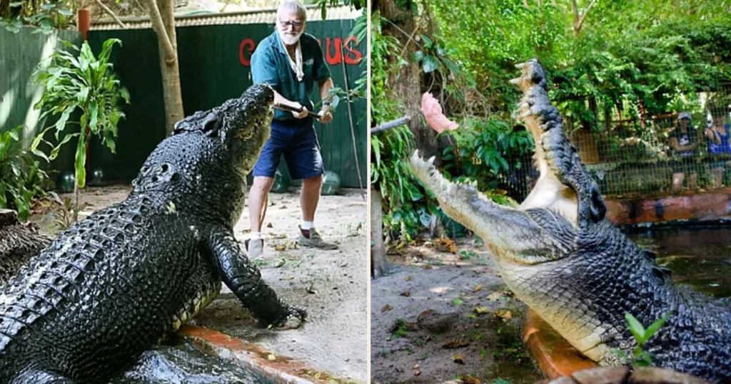 Cel mai bătrân crocodil din lume